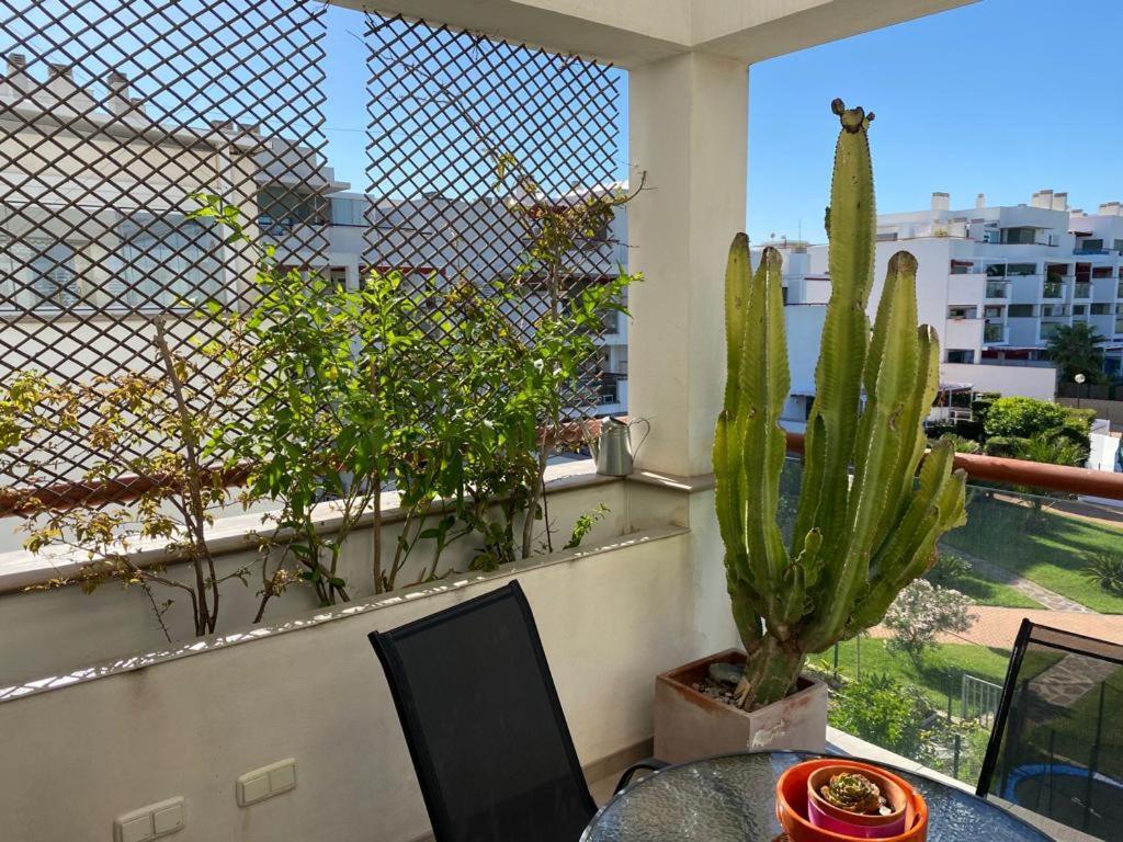 Апартаменты Apartamento Cabo De Gata-Toyo Ретамар Экстерьер фото
